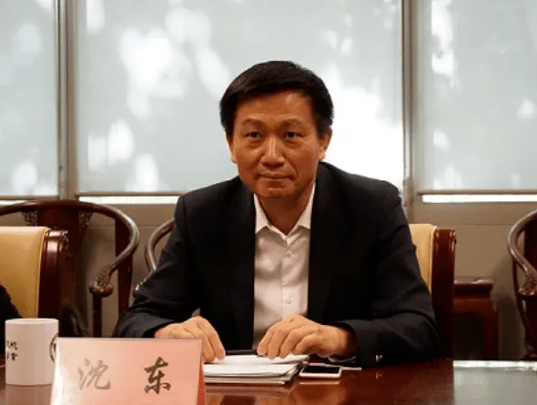 中国人民财产保险公司副总裁沈东被“双开”