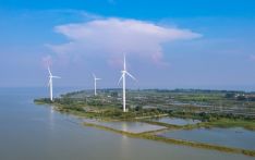 China actively mobilizes all sectors to fight climate change, achieve carbon neutrality goal