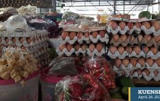 Farmers resort to selling birds as egg cost slumps