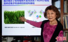 中国科学家光合作用基础研究获重大突破 首次解析大麦关键结构