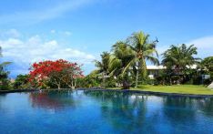 巴厘岛提供免费游套餐 试探性重启旅游业