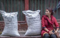 南亚商讯丨受疫情影响 尼泊尔化肥严重短缺 或将为商贸企业提供商机