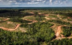 Korindo: Korean palm oil giant stripped of sustainability status