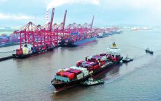 China's H1 foreign trade hits new high, signs of slower growth in H2 not cause for concern