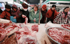  农业农村部：明年元旦、春节期间，猪肉供应量同比将增3成左右