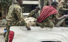 इथियोपियामा सुरक्षा कारबाहीमा ३३३ विद्रोहीको मृत्यु