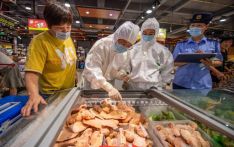 广东东莞市进口冷链食品常态化监测检出2份样本阳性