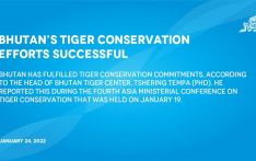 Bhutan’s tiger conservation efforts successful