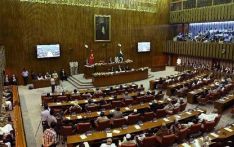 Govt, opposition lock horns over NAB law in Senate