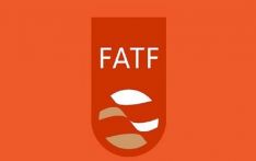 Pakistan launches diplomatic effort to get out of FATF grey list