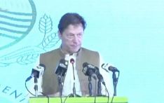 巴基斯坦总理：该国首个“智慧森林”项目意义重大
