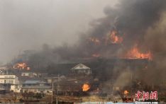 韩国山火过火面积逾1.6万公顷 相当于2.3万个足球场