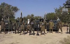 尼日利亚军方打死120多名武装分子