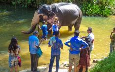  斯里兰卡旅游，最好的体验方式，热带雨林给大象洗澡 