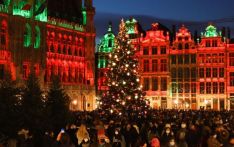 疫情下比利时首都点亮圣诞树
