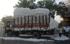 巴基斯坦：国内棉价飙升 纺织厂大面积“扫货”