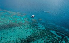 Great Barrier Reef avoids UNESCO endangered world heritage listing