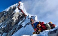 尼泊尔推出珠穆朗玛峰登山者配额许可证，防止人群拥堵