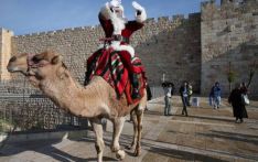耶路撒冷：骑着骆驼的“圣诞老人” 
