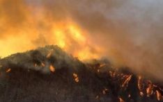 韩国山火蔓延 消防厅首次发布最高级别火险预警