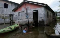 巴西亚马孙州河流水位上涨引发洪灾 29个城市处于紧急状态