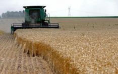 China grain production has achieved 