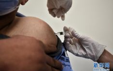 埃及开始为医护人员接种中国国药集团新冠疫苗