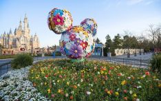 Disney shares new safety guidelines for reopening parks