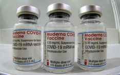Pakistan gets 2.5 million doses of Moderna from US