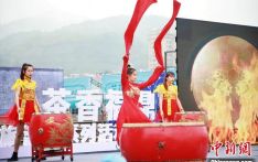 中国旅游日茶旅系列活动福建福鼎市开幕 促文旅融合发展