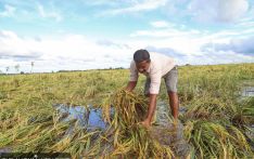 Agriculture census to record impact of climate change 