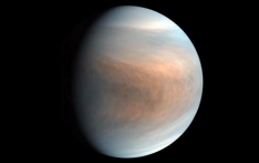 金星大气中发现磷化氢，表明有生命存在的可能？