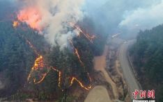 韩山火过火面积相当于3.3万个足球场 打破历史纪录