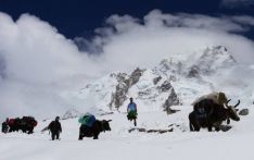 外国人可从10月中旬开始入境尼泊尔进行登山等活动