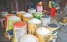 Nepal scrambles to secure fertilisers as paddy season begins 