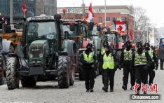 加拿大多地示威持续 加美边境口岸清场未果