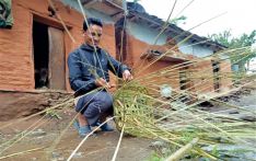 Traditional weavers fear extinction of craft for shortage of Himalayan bamboo 