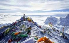 尼泊尔的传奇人物雪豹病逝，曾10次无氧攀珠峰创世界纪录