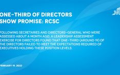 One-third of directors show promise: RCSC