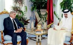 PM Shahbaz Sharif to visit Qatar for more LNG supplies