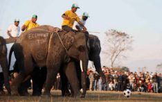 If you want to be a mahout