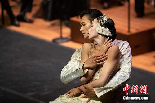 中国侨网纽约城市芭蕾舞团首席演员陈镇威与美国芭蕾舞剧院独舞演员方仲静表演芭蕾舞剧《天鹅湖》片段。 中新社记者 廖攀 摄