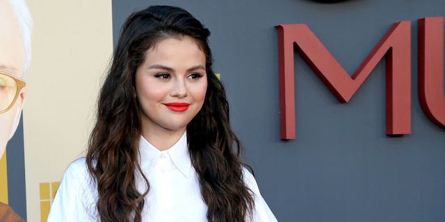 Former Disney star Selena Gomez revealed, although she would love to have a growing family, it may be dangerous to bear children due to her bipolar disorder medication.
