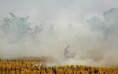 有毒雾霾笼罩印度城市，印首都关闭部分学校