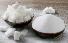 India mills renegotiate, default on sugar export deals to catch rising prices: dealers