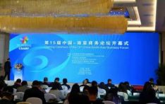 第15届中国-南亚商务论坛在昆举行