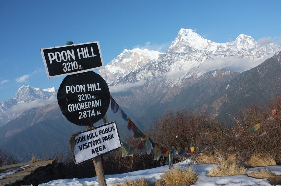 Poon Hill 