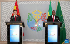 Chinese FM discusses progress of outlook on peace, development in Horn of Africa