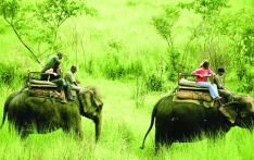 Places To explore In Chitwan
