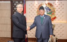 中国大使陈松拜会尼泊尔普拉昌达总理